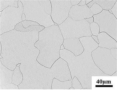 Hot Deformation Behavior of a Novel Near-β Titanium Alloy Ti-5.5Mo-6V-7Cr-4Al-2Sn-1Fe in (α+β) Phase Region